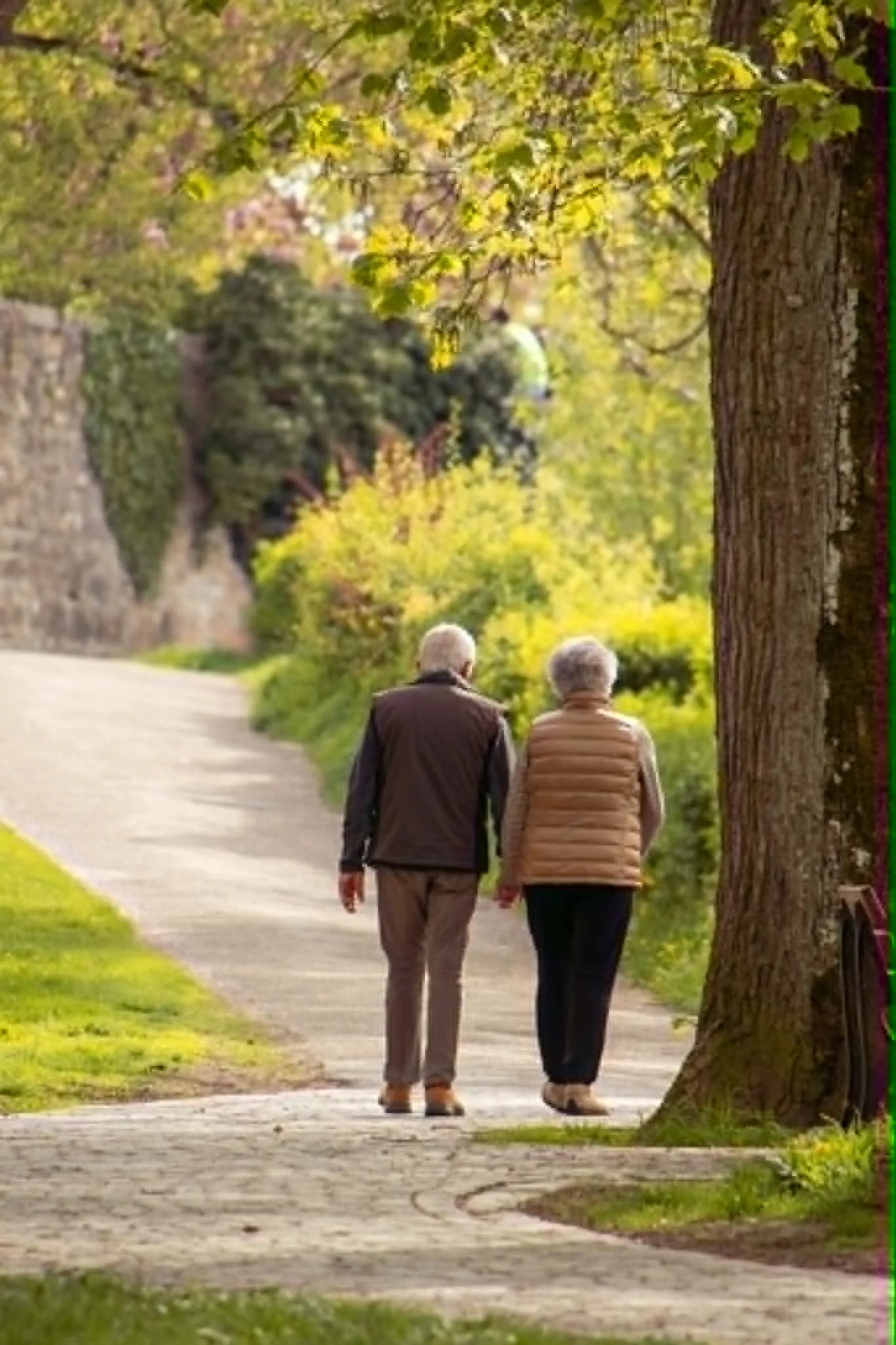 An elderly couple walking together along a tree-lined path